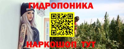 ALPHA PVP Гатчина