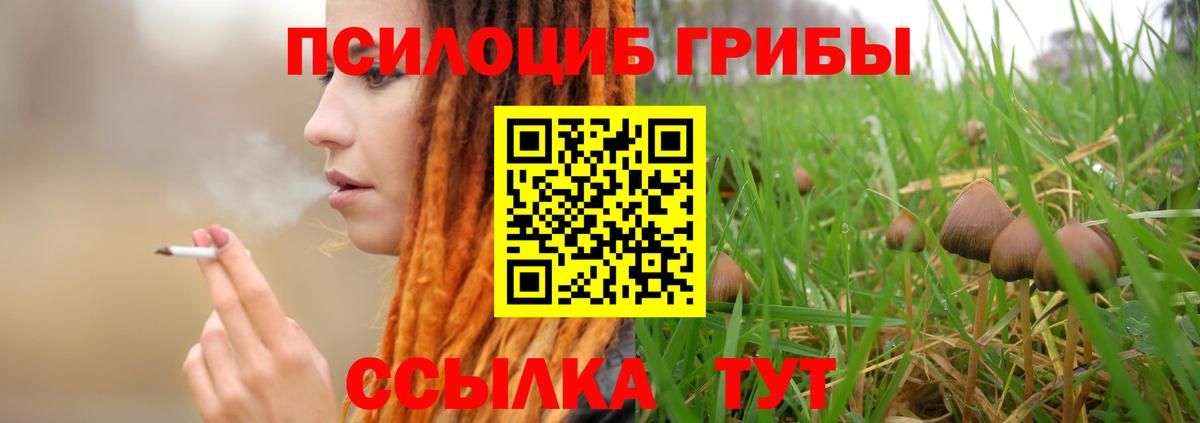 Россошь  Галлюциногенные грибы Magic Shrooms  Вход с VPN  Галлюциногенные грибы MAGIC MUSHROOMS 